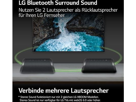 LG XBOOM Go DXG5QGR Bluetooth Lautsprecher, Grau LG