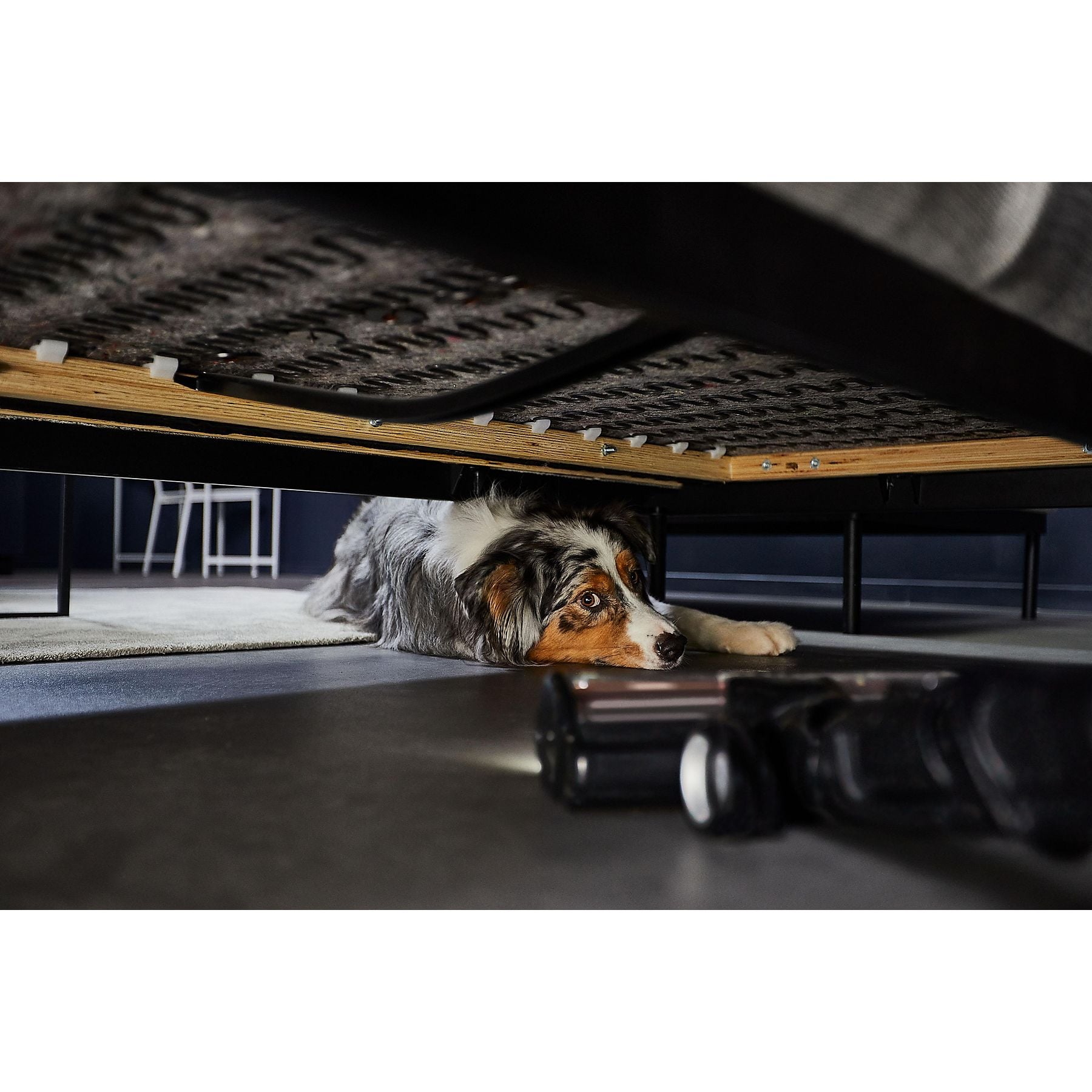 ROWENTA RH9A36 X-Force Flex 13.60 Allergy Stielsauger, Akkubetrieb, 380 Watt ROWENTA