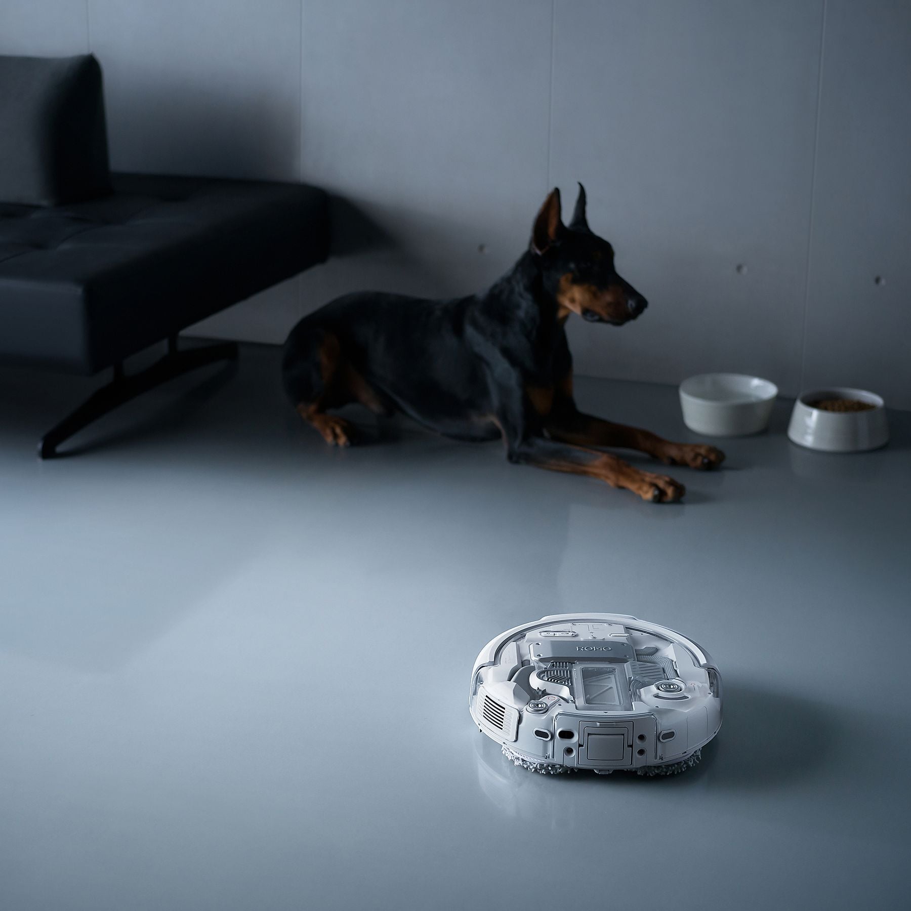DJI VC ROMO P mit Wischfunktion und transparentem Design, Saugroboter DJI