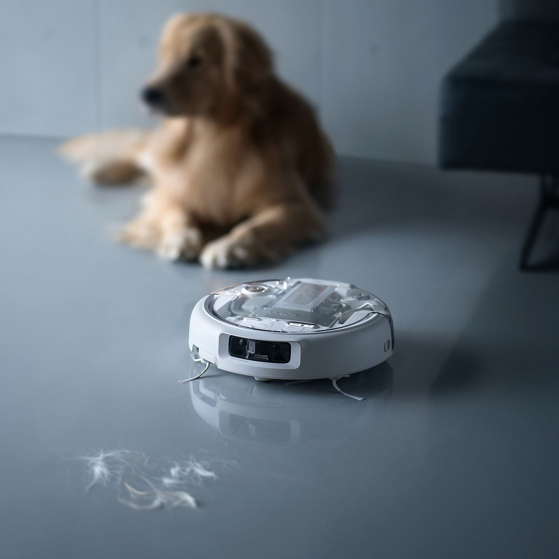 DJI VC ROMO P mit Wischfunktion und transparentem Design, Saugroboter DJI