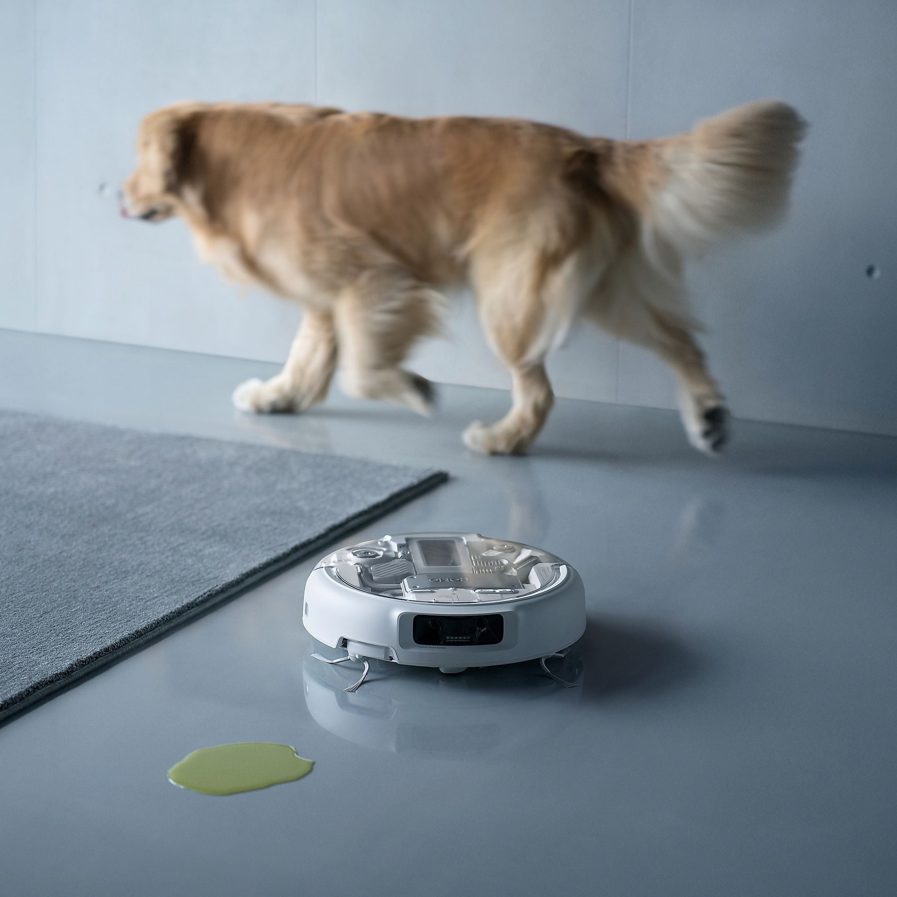 DJI VC ROMO P mit Wischfunktion und transparentem Design, Saugroboter DJI
