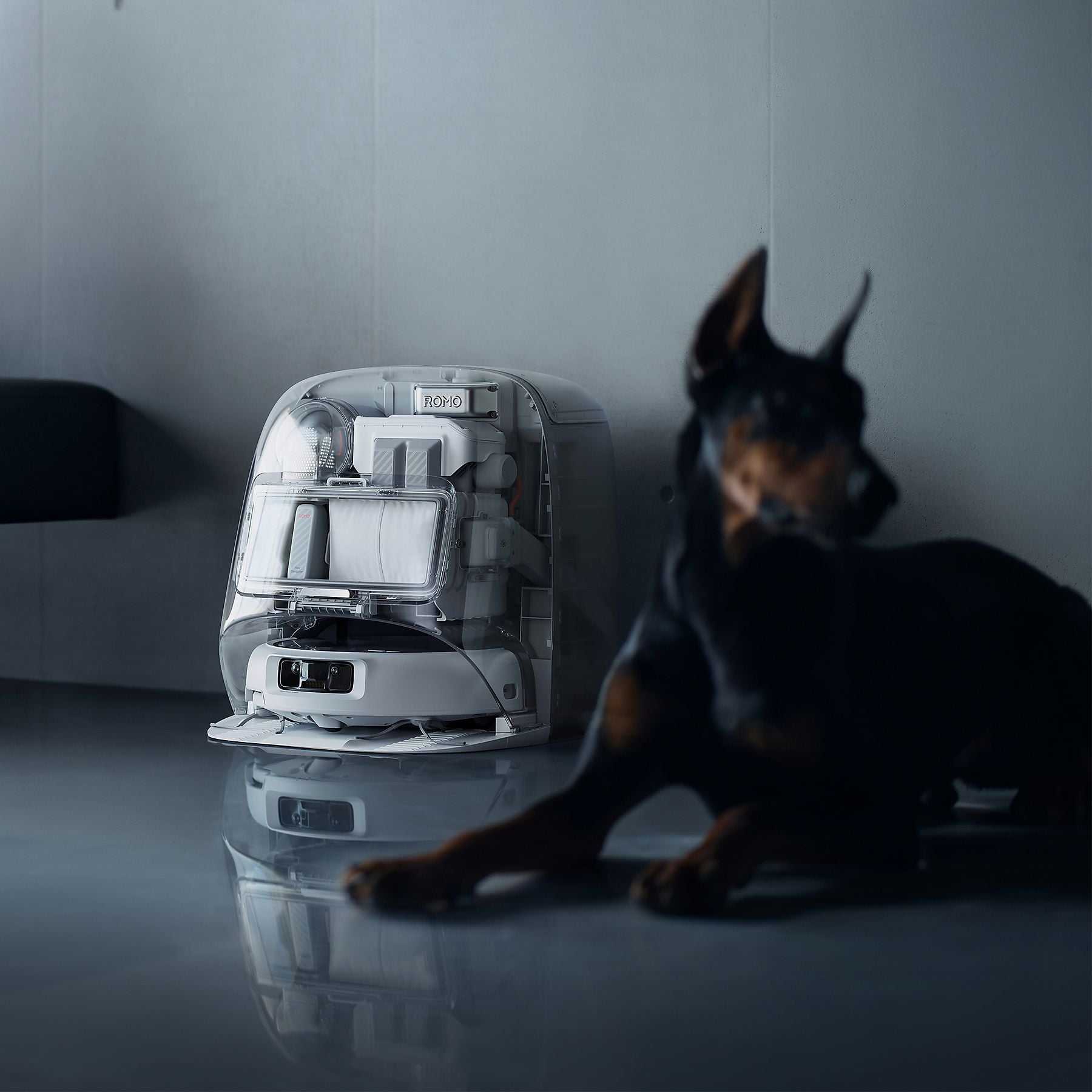 DJI VC ROMO P mit Wischfunktion und transparentem Design, Saugroboter DJI