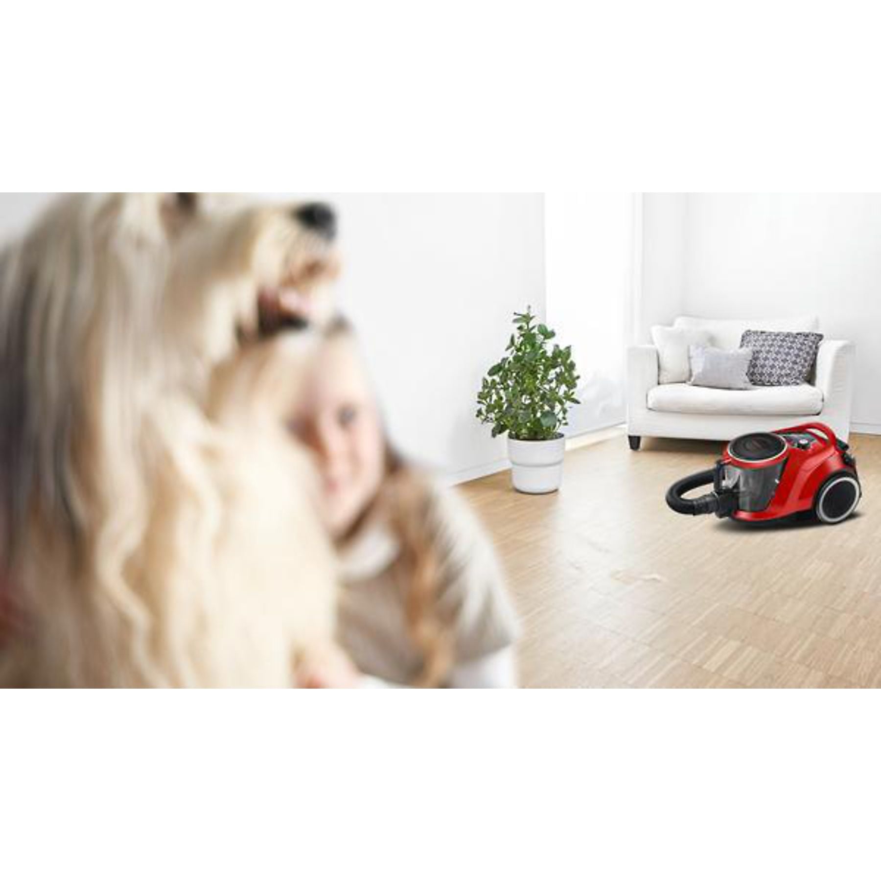 BOSCH BGC41Pet Serie 6 ProAnimal Staubsauger, maximale Leistung: 750 Watt BOSCH