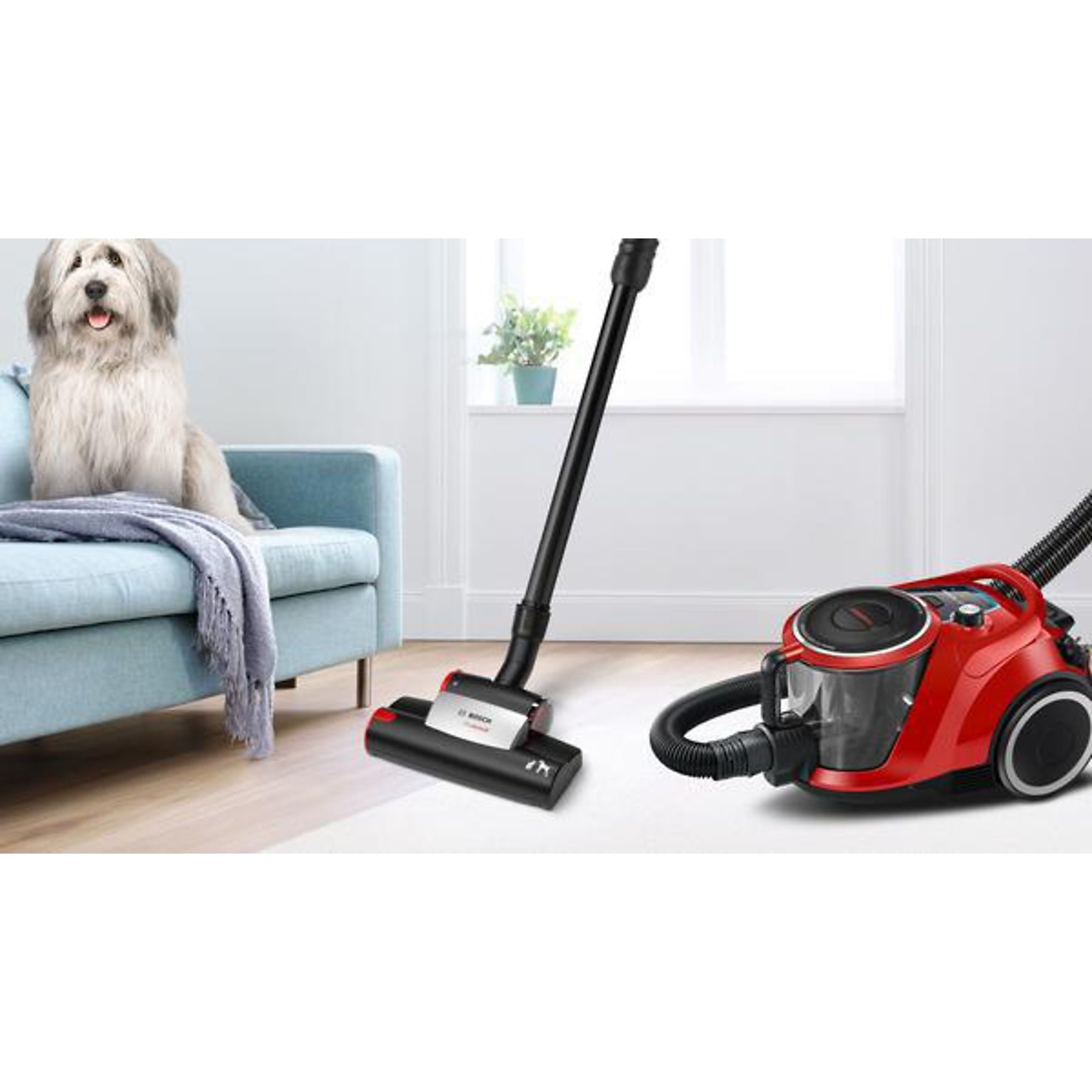 BOSCH BGC41Pet Serie 6 ProAnimal Staubsauger, maximale Leistung: 750 Watt BOSCH