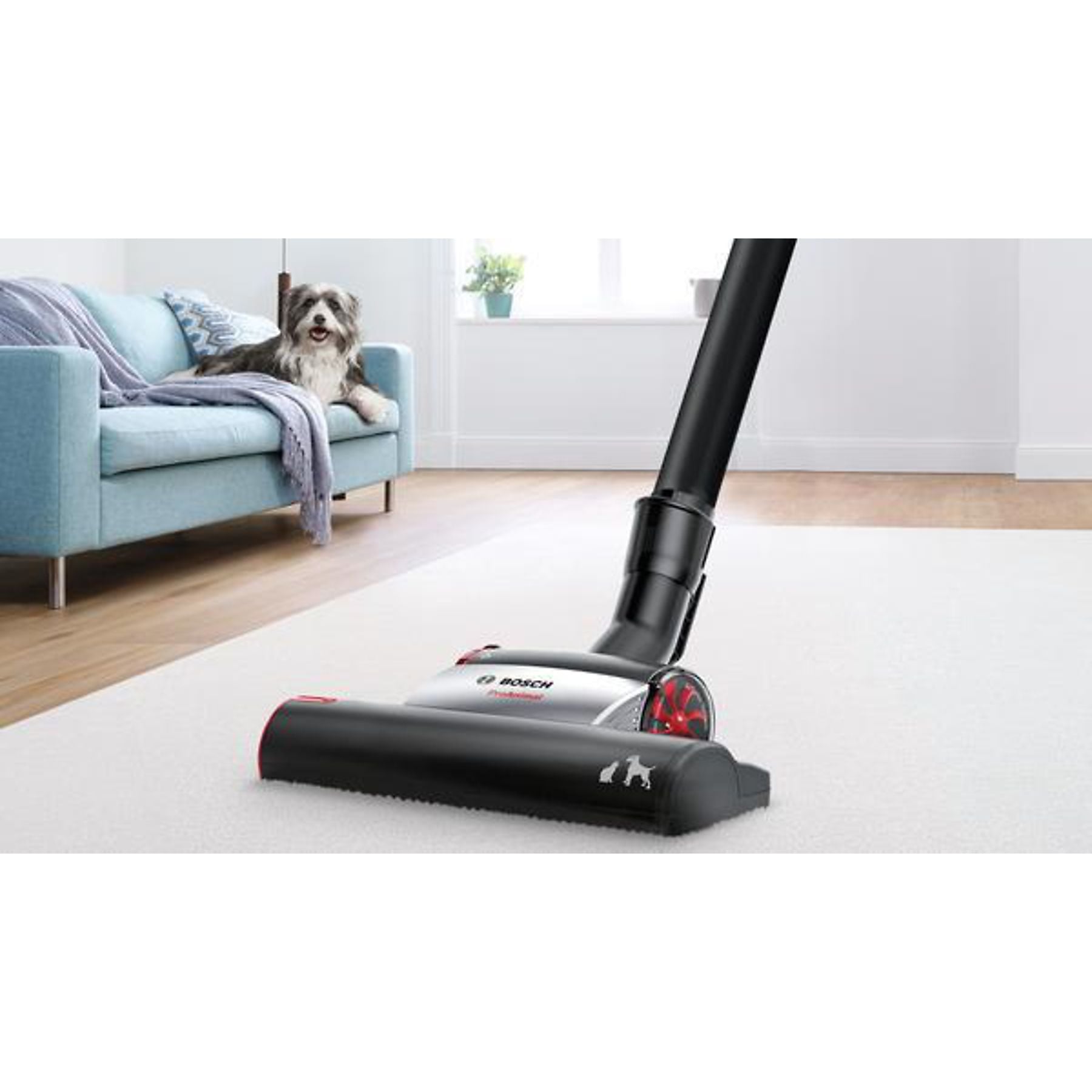 BOSCH BGC41Pet Serie 6 ProAnimal Staubsauger, maximale Leistung: 750 Watt BOSCH