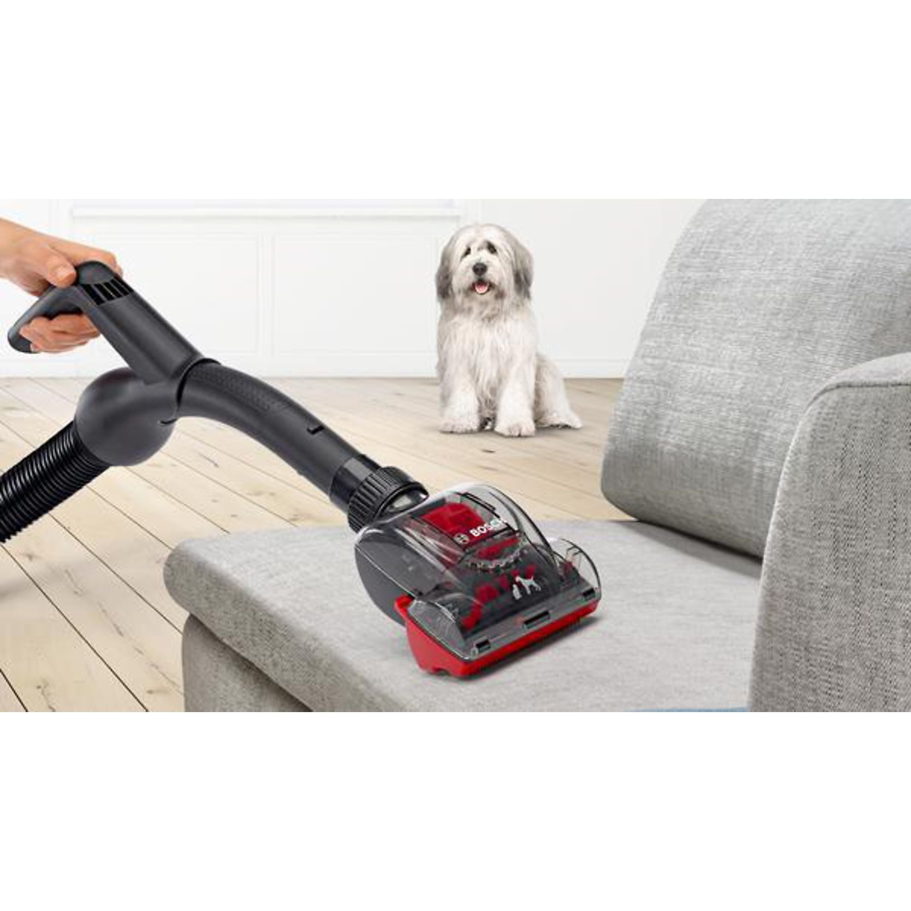 BOSCH BGC41Pet Serie 6 ProAnimal Staubsauger, maximale Leistung: 750 Watt BOSCH