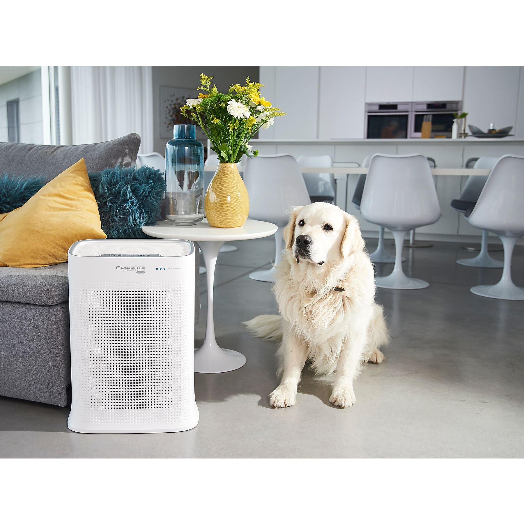 ROWENTA PU3080 Pure Air Genius Luftreiniger Weiß/Schwarz (65 Watt, Raumgröße: 120 m², Vorfilter, 2in1 Filter (Aktivkohlefilter, Partikelfilter), NanoCapture-Filter) ROWENTA